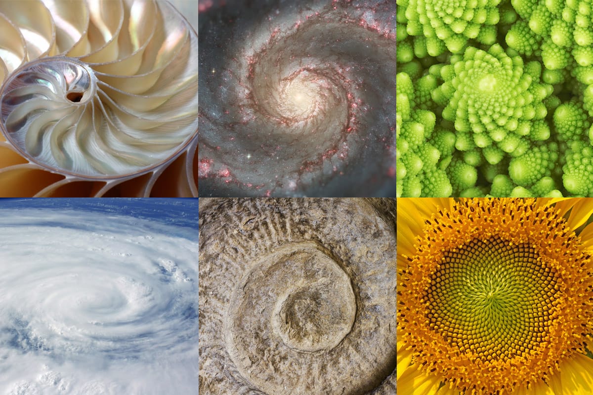 golden ratio nature