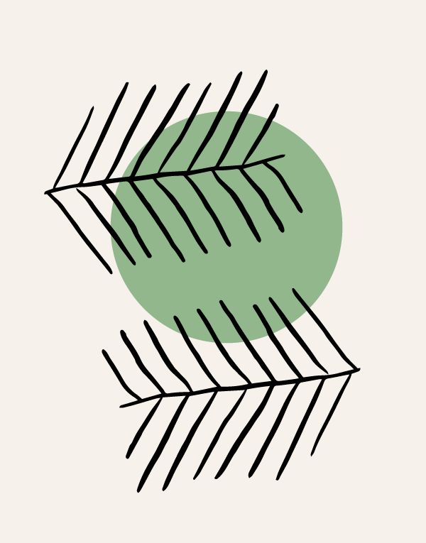 A modern, abstract illustration composed of geometric and organic shapes. It features a series of black diagonal lines arranged in two intersecting, grid-like patterns, creating a sense of movement or lattice work. Overlaying these grids is a solid, soft green circular shape that intersects both sets of lines, implying depth and overlap. This design utilizes simple forms and a restrained colour palette to achieve a clean and contemporary visual.